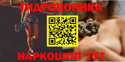 скорость Аргун