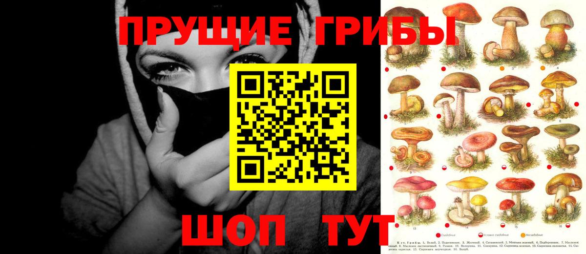 Галлюциногенные грибы Psilocybine cubensis  Вход с VPN  Батайск 